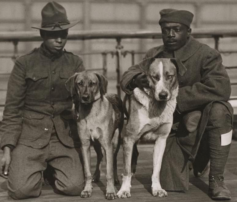 Soldiers with Dogs