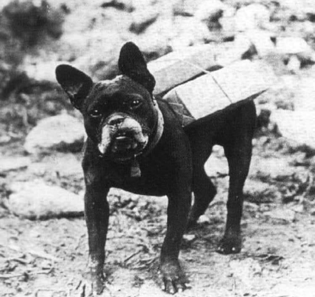 BRCC WWI Animals Cigarette