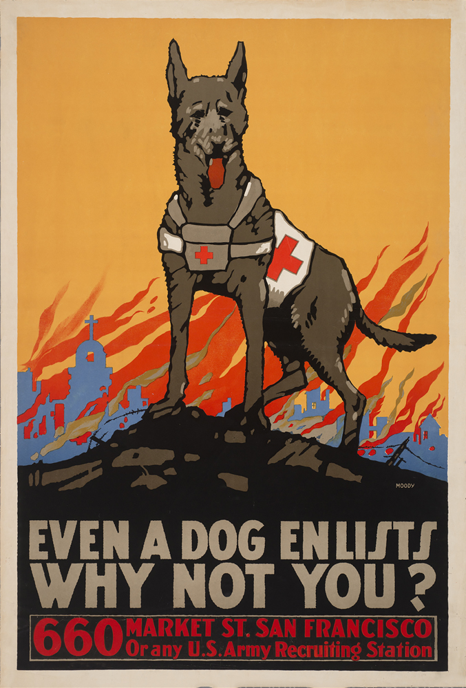 Even A Dog Enlists