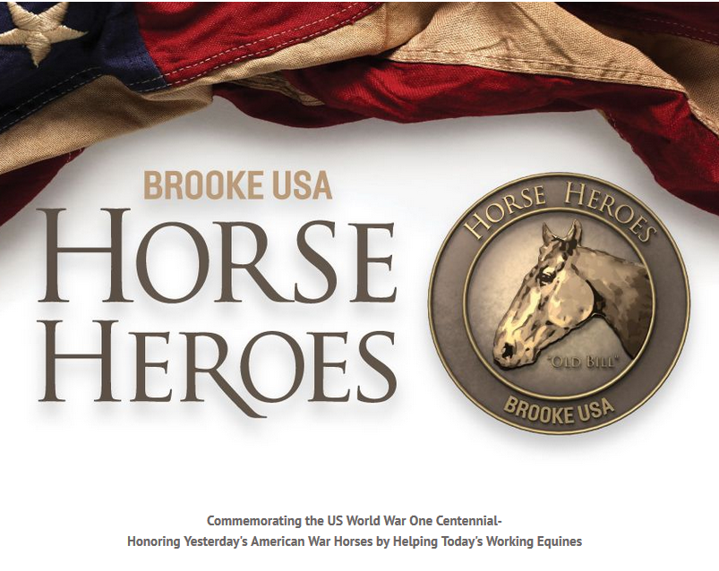 Horse Heroes text