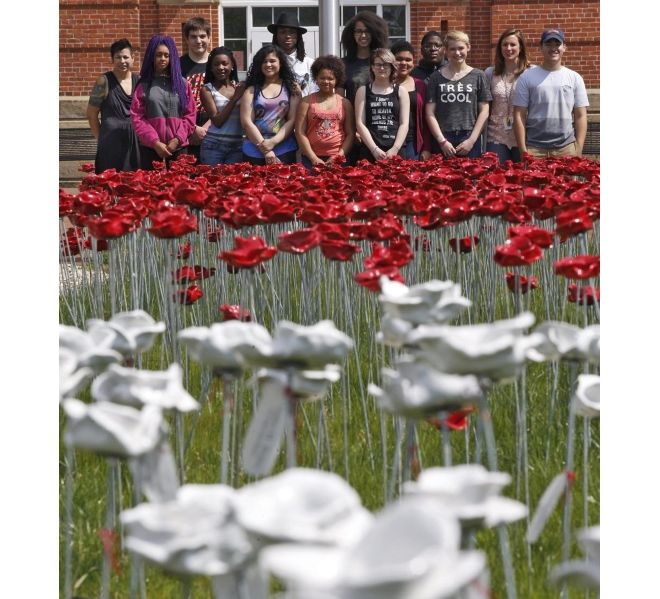 Columbus poppies