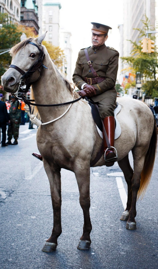 David Wayne Shuey NY Vets Day Parade 111116
