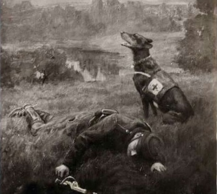Doberman Red Cross
