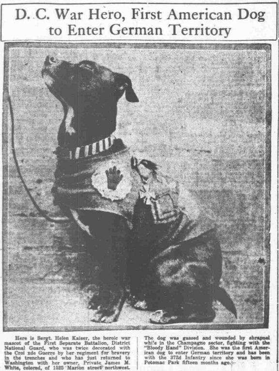 Sergeant Helen Kaiser