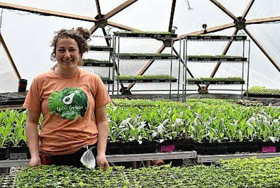 Victory Gardens