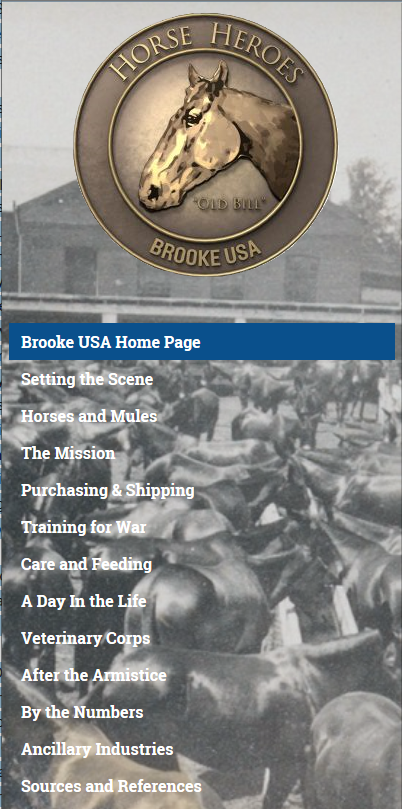 Horse Heroes logo