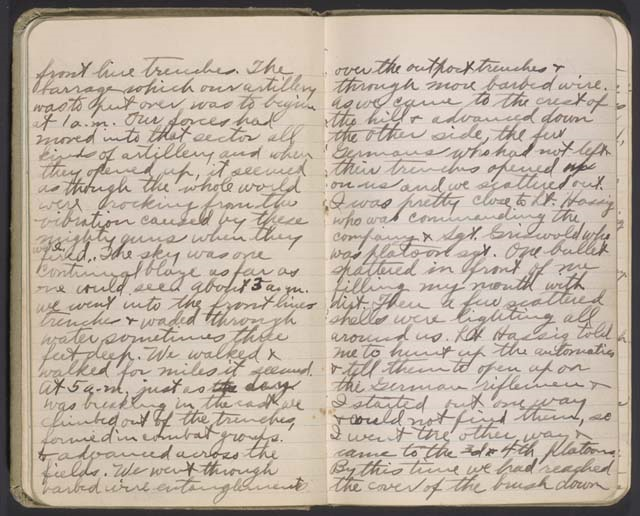 Diary Vets History Project
