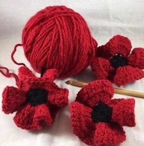 Kintted poppies Westford