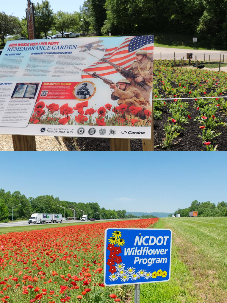 ODOT NCDOT Poppies