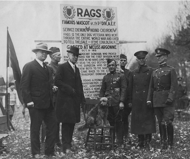 Rags