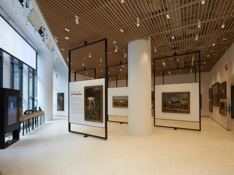 AKC MOD 20190102 AKC MOD 010219 AKC 8201 David Woo 800x600