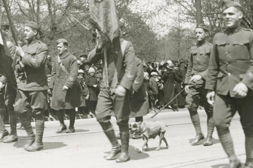 Parade