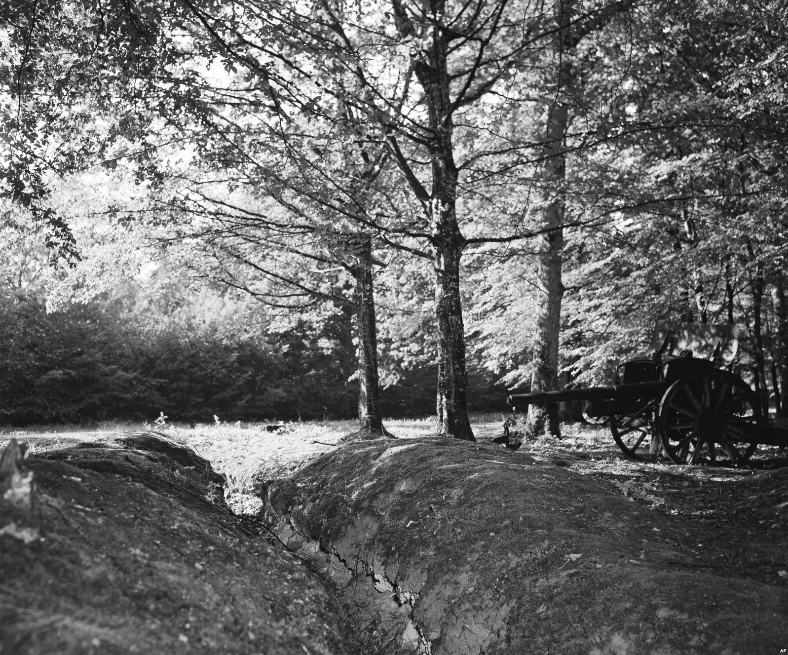 Belleau Woods