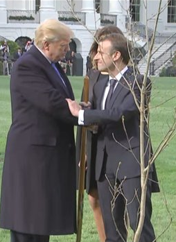 Trump Macron handshake