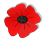 poppy
