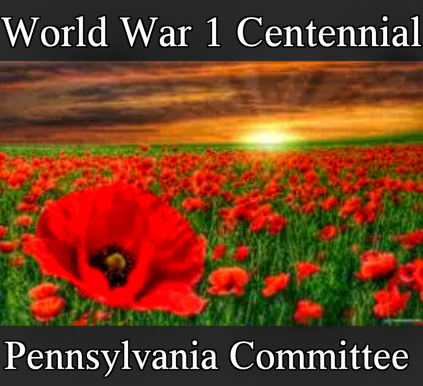 ww1pa100