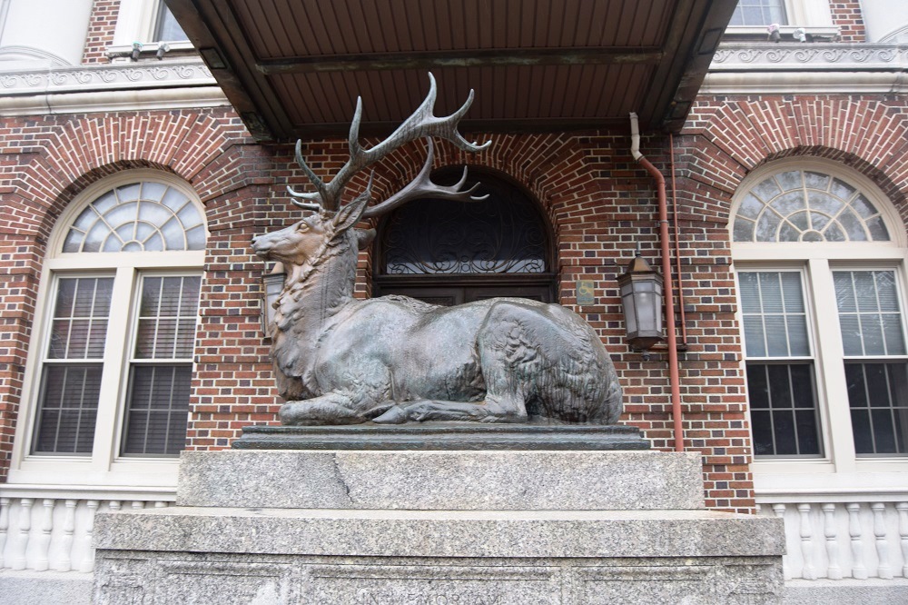 Zoom on the image : WWI Elk Memorial - New Brunswick