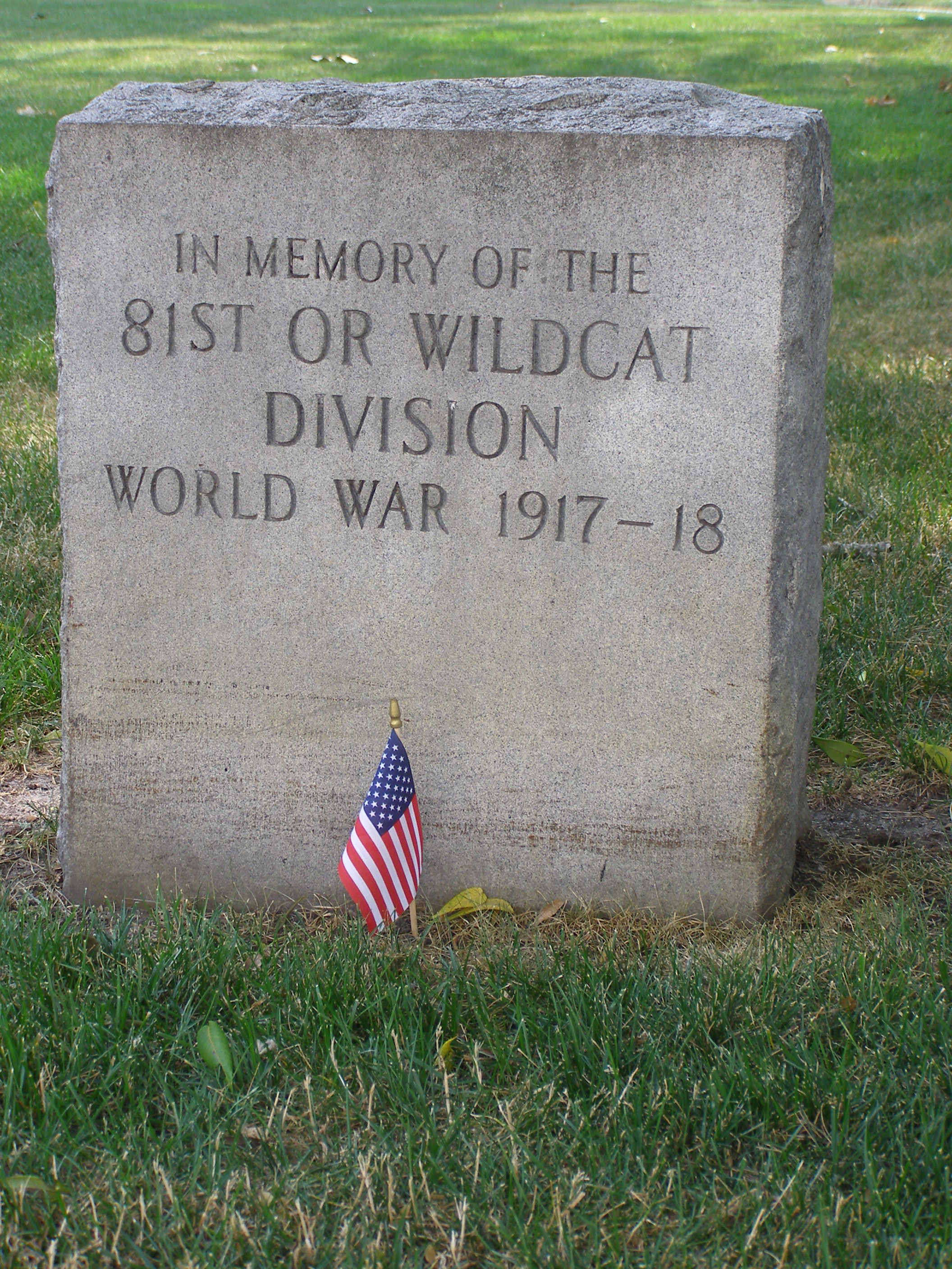 Zoom on the image : Wildcat Division Memorial