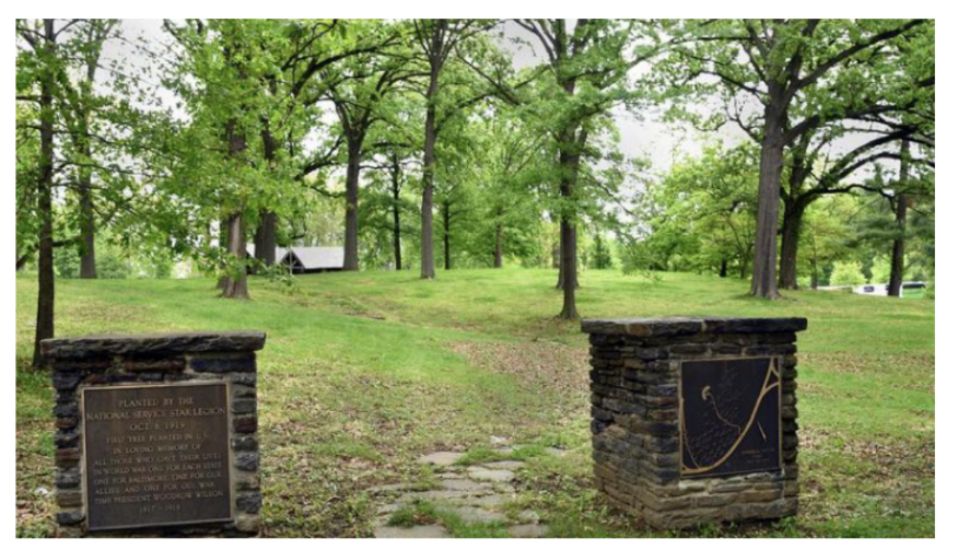 Zoom on the image : Druid Hill Park-Grove of Remembrance