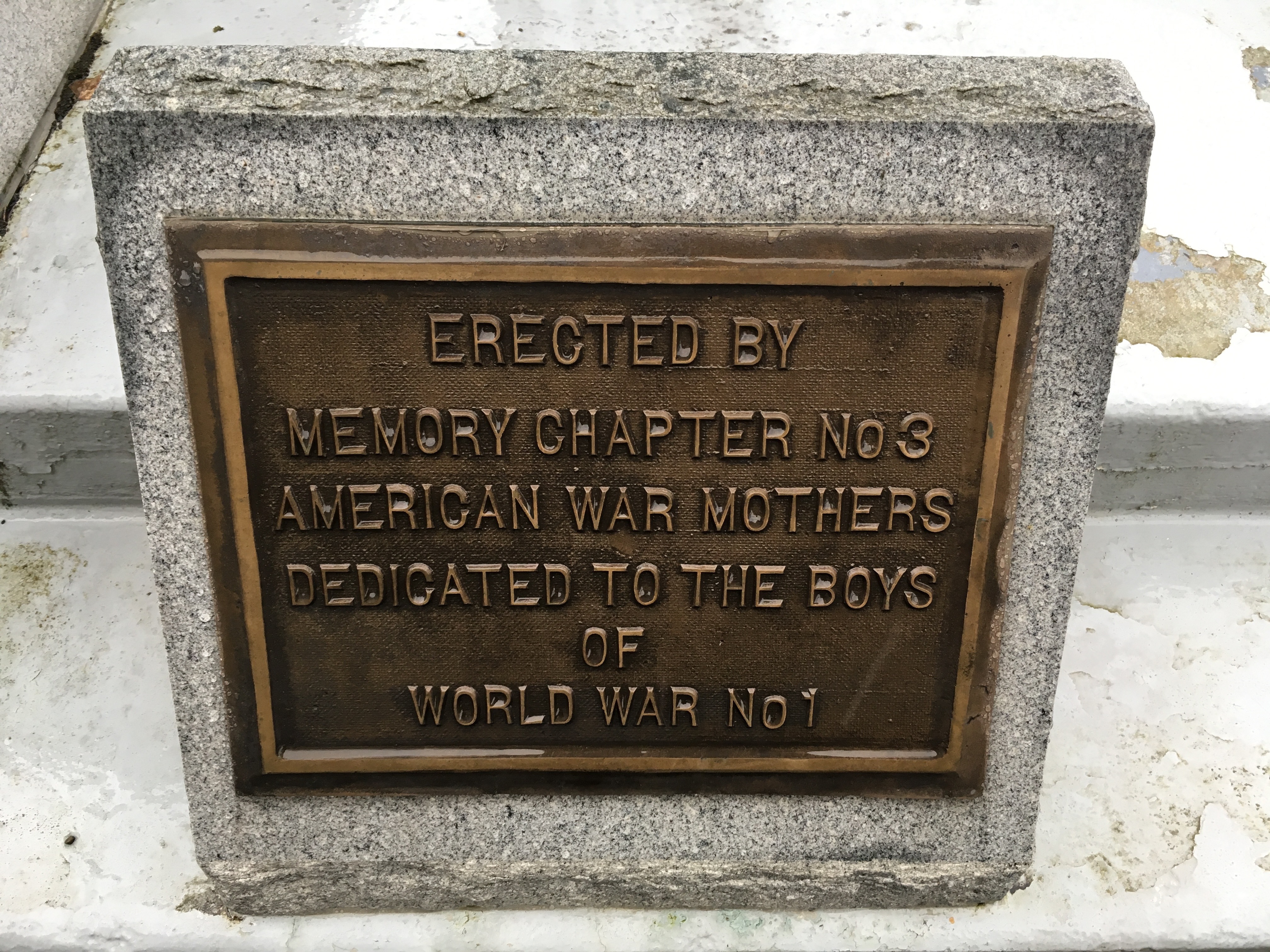 Zoom on the image : American War Mothers Chapter 3