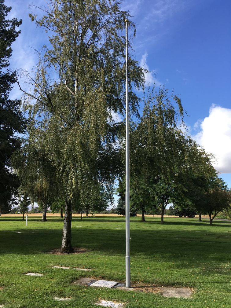 Zoom on the image : Mountain View Cemetery