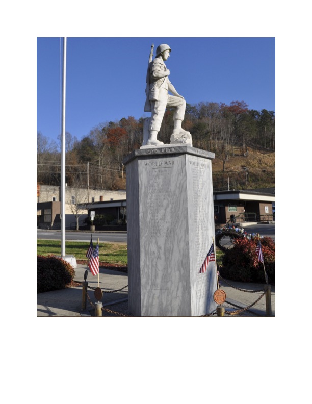Zoom on the image : "War Dead of Swain County"