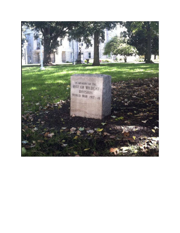 Zoom on the image : "81st Division"