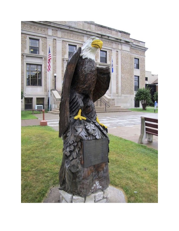 Zoom on the image : Eagle