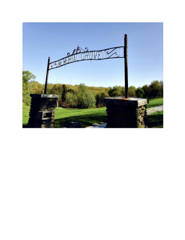 Zoom on the image : Worcester Memorial Grove