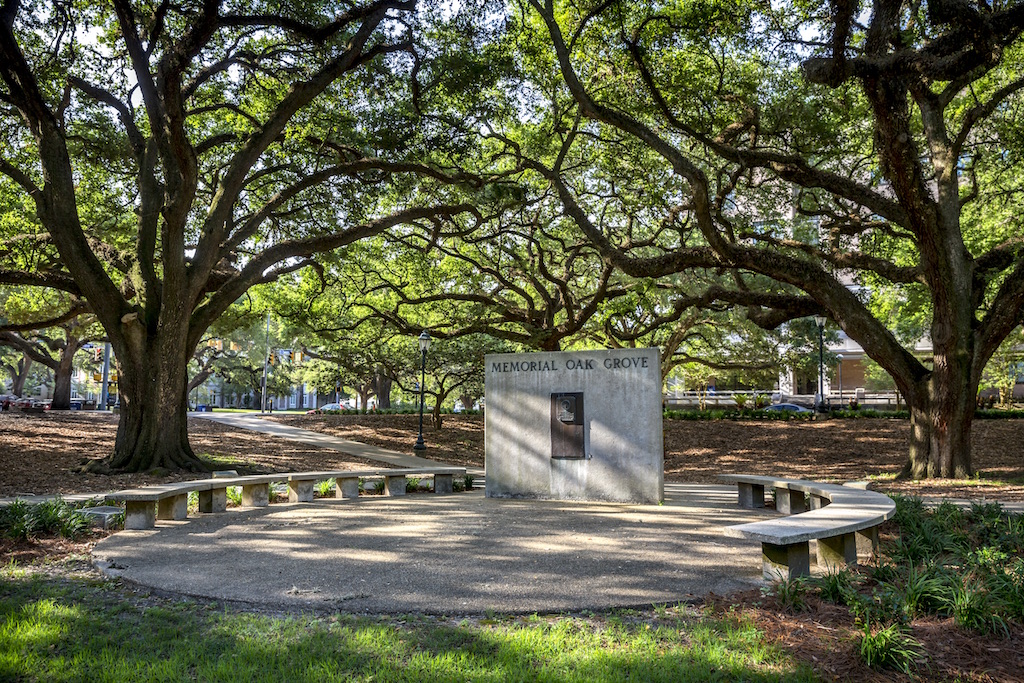 Zoom on the image : Memorial Oak Grove