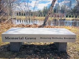 Zoom on the image : Wellesley Memorial Grove