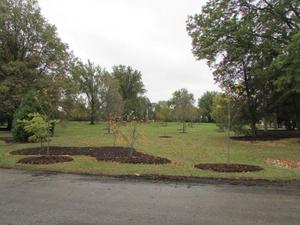 Zoom on the image : World War I Memorial Grove