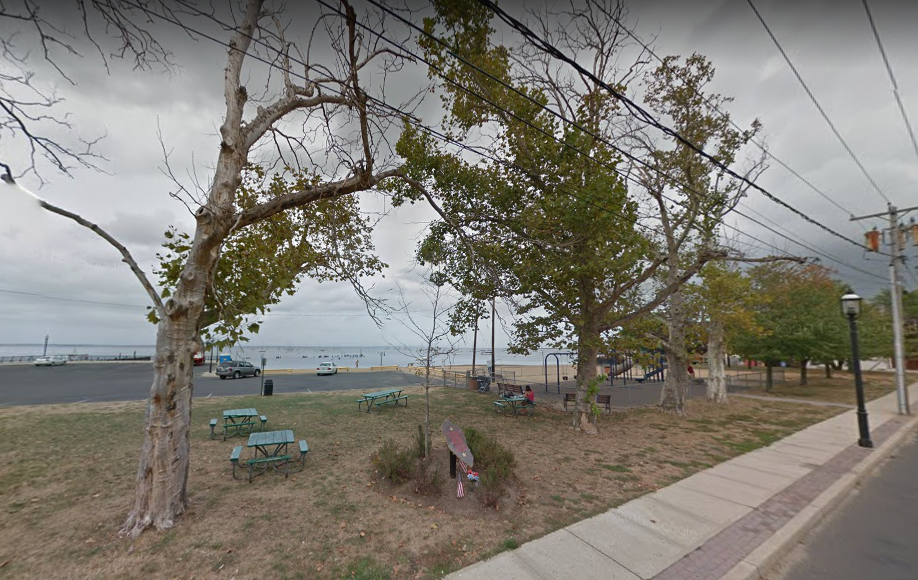 Zoom on the image : The Memorial Trees at Beach Park