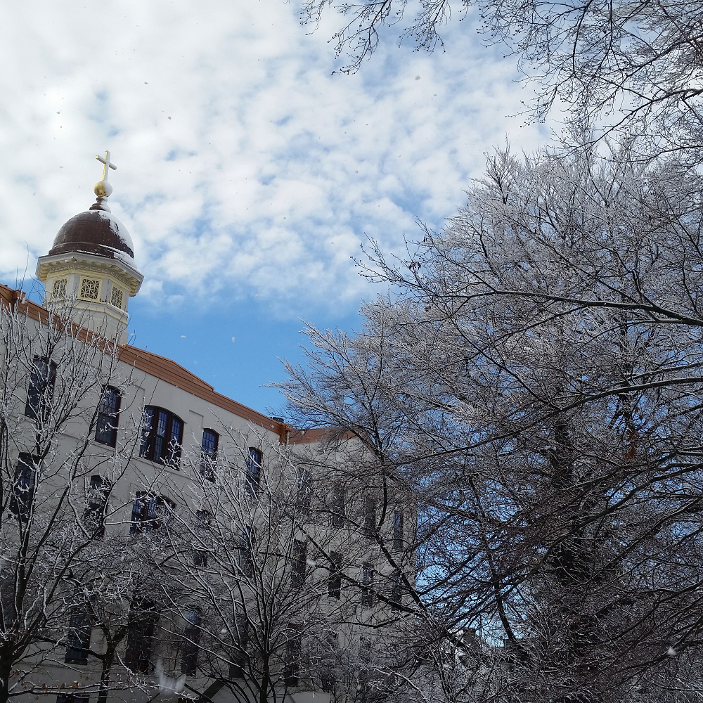 Zoom on the image : Falvey Memorial Library - Pennsylvania