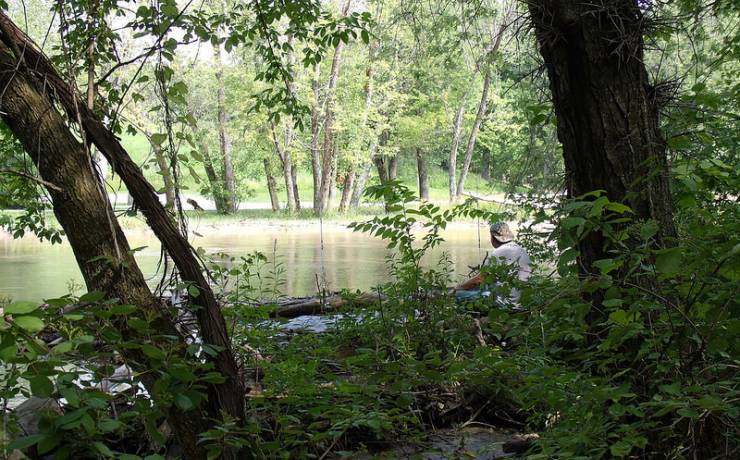 Zoom on the image : Pershing State Park