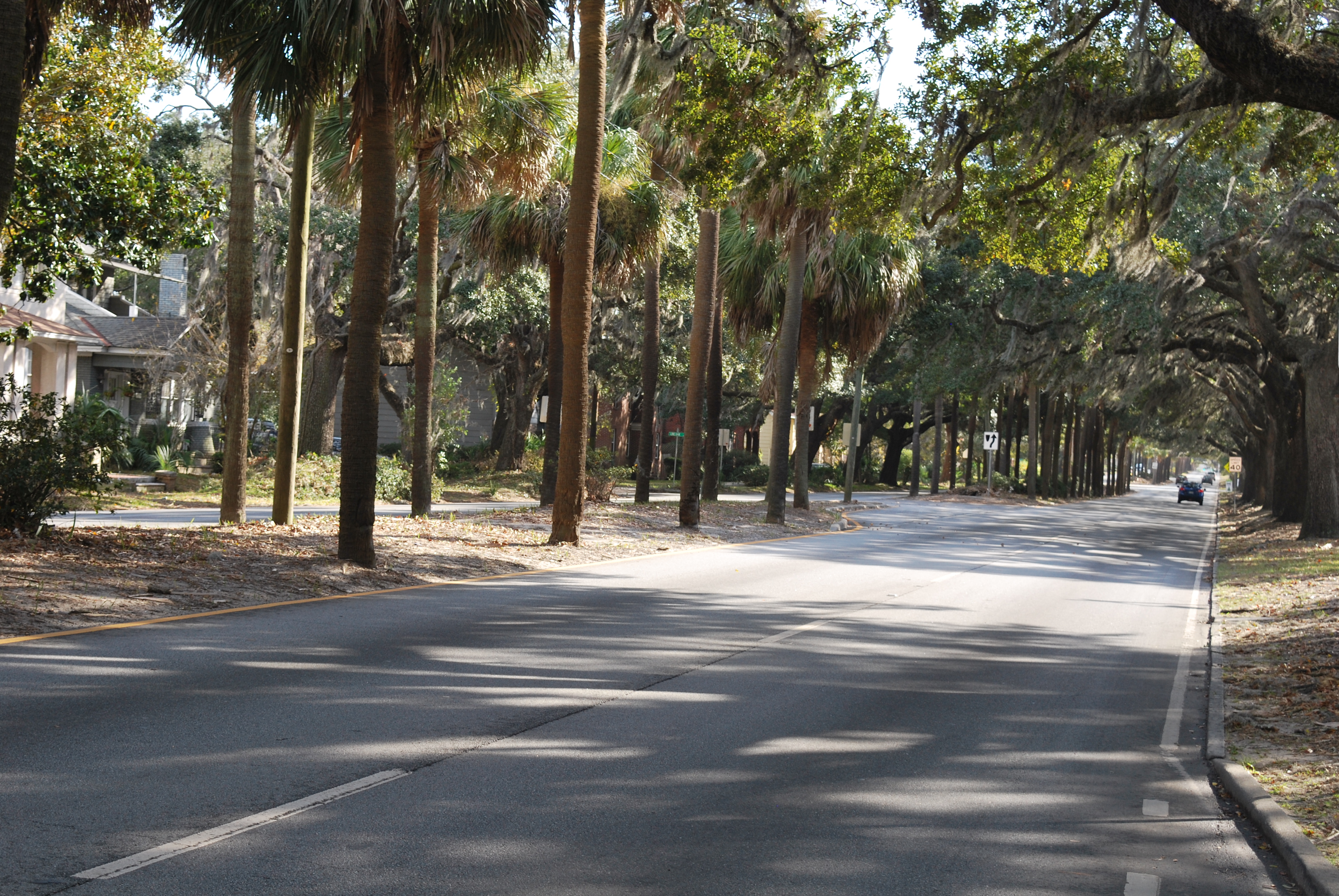 Zoom on the image : Savannah - Chatham Co. - Victory Drive