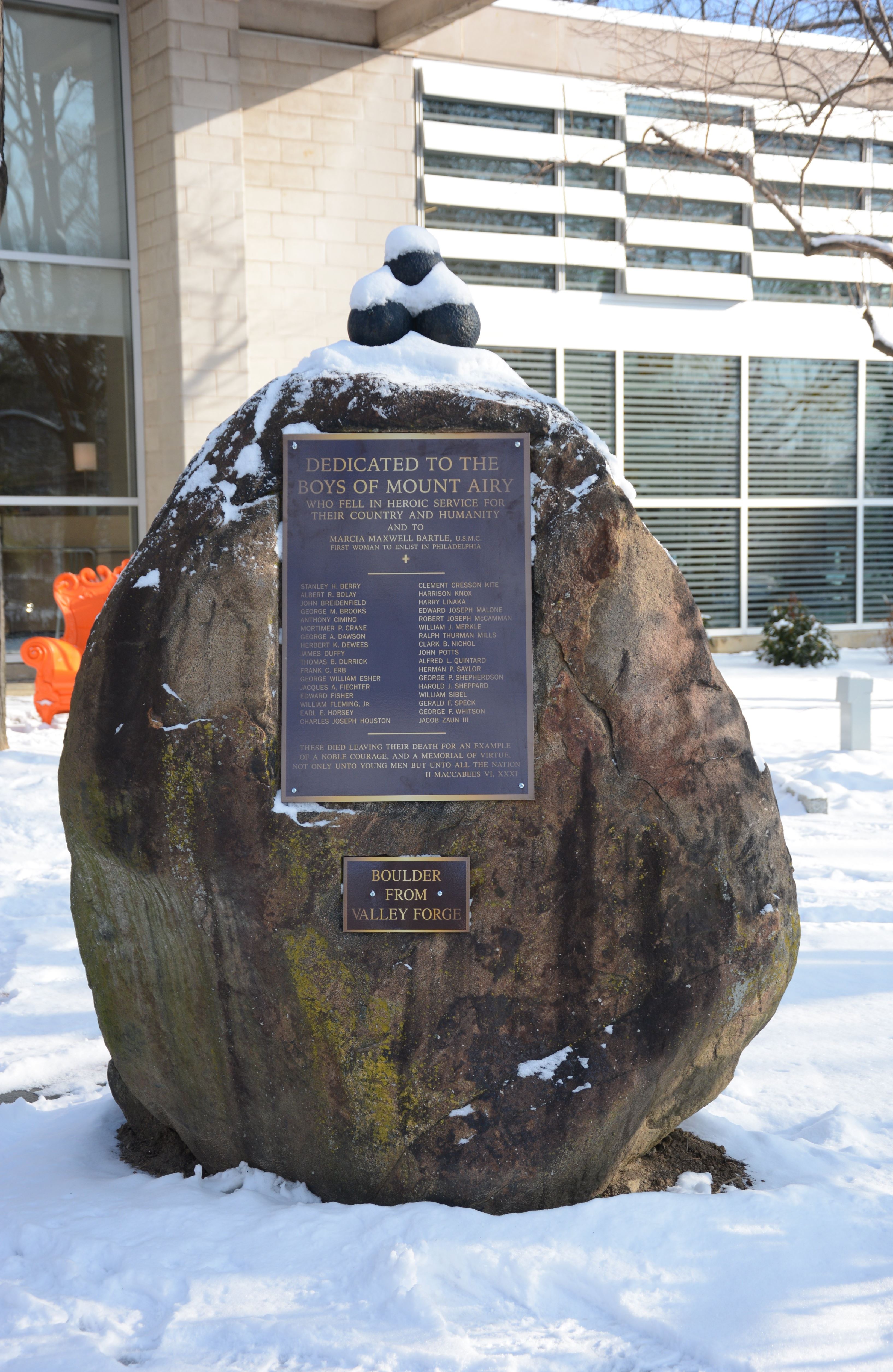 Zoom on the image : Mt. Airy War Tribute