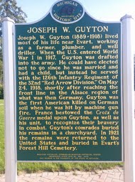 guyton plaque