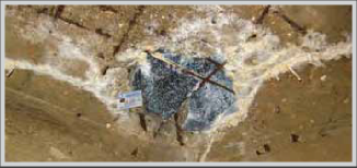 Damaged 1
