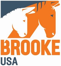 Brooke USA