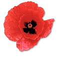 greatwar logo