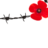World War One School Workshop