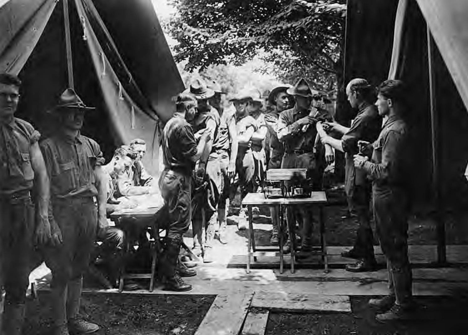 Vaccination Station in the Field