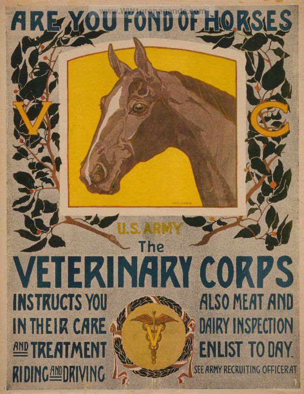 Vet Corps Poster