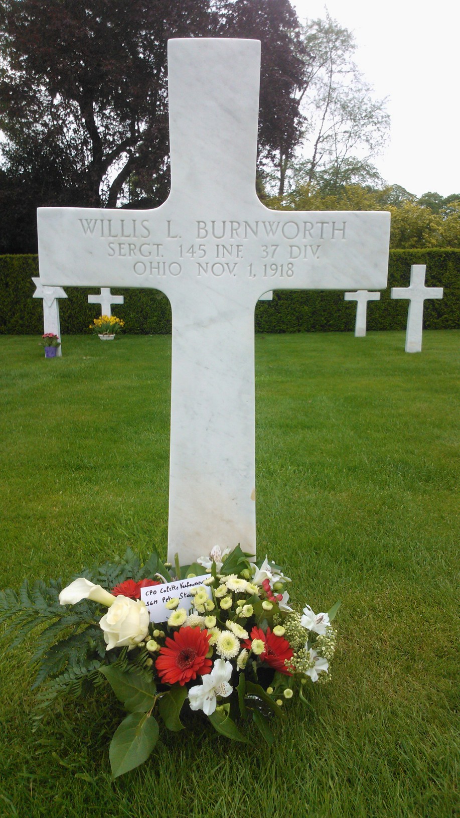 56a373fc8afcd Grave Sgt Willis Burnworth Waregem Belgium