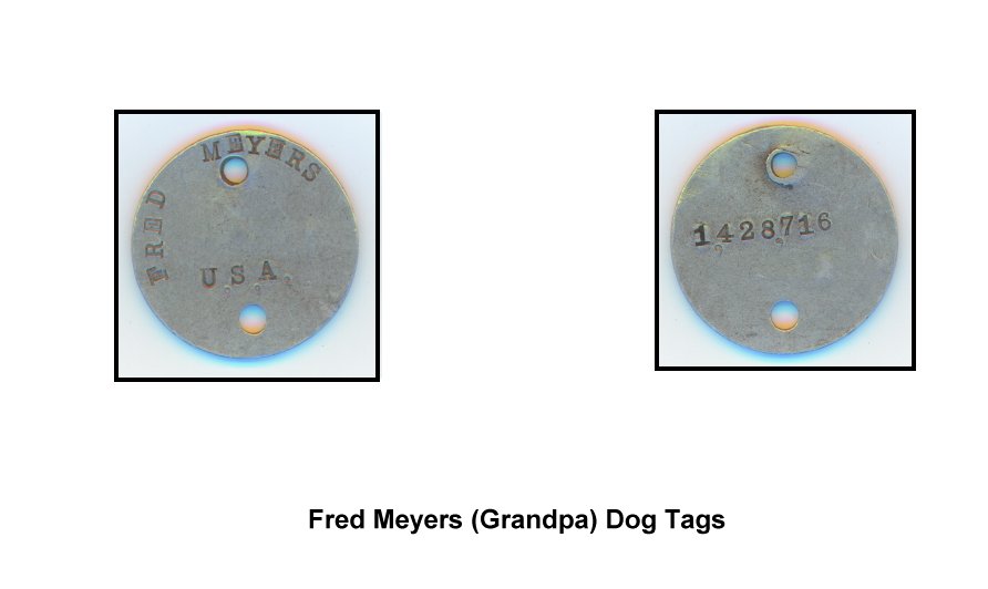 5a30889e0dffe Dog Tags