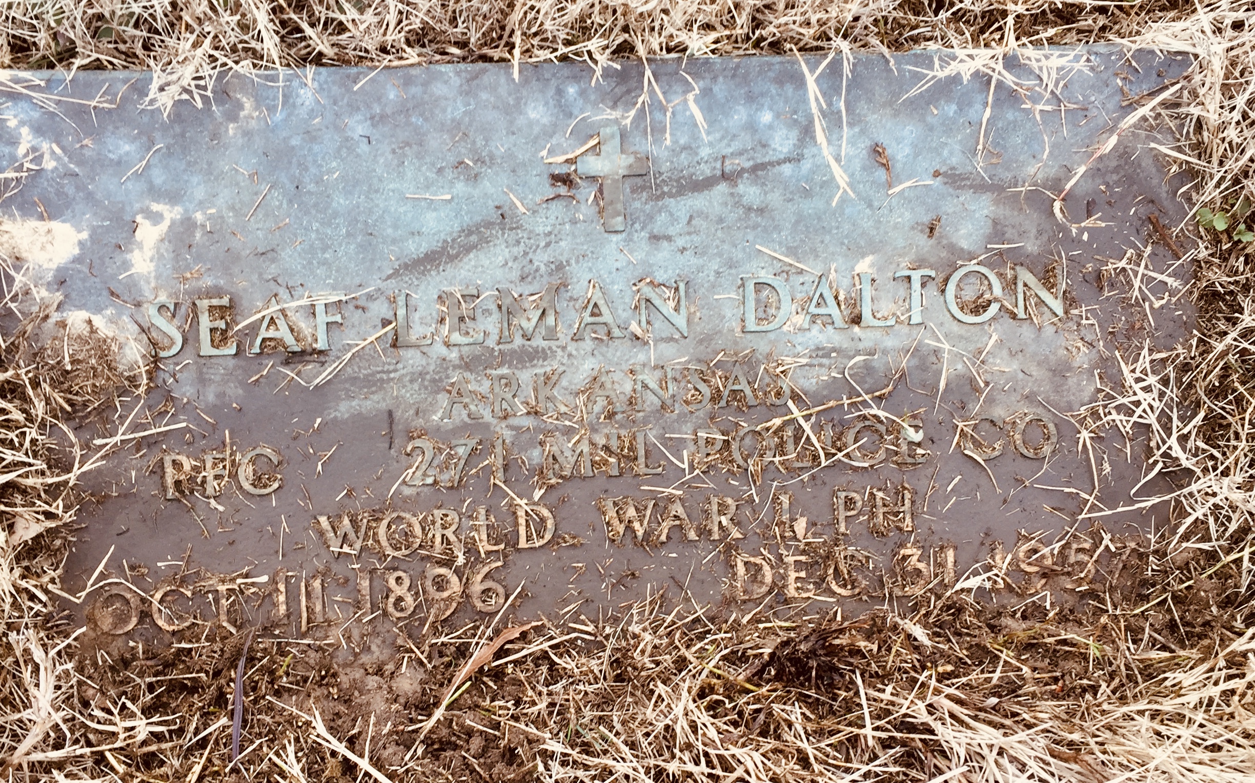 Seaf  Dalton  image