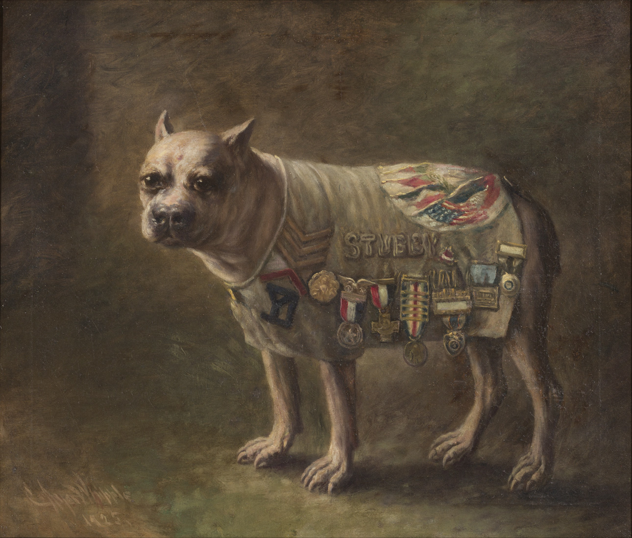 Stubby's portrait in the New Haven Veterans Museum