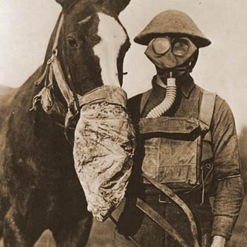 Horse Heroes - 1.5 million American Equines serve in WWI. See the new web site at ww1cc.org/horses