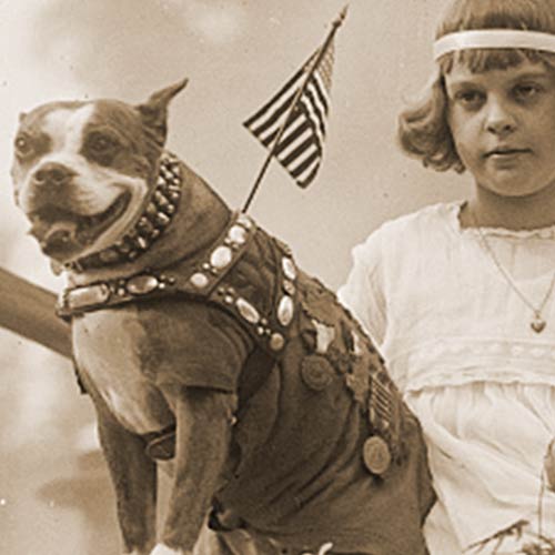 Sgt. Stubby popular with kids today and 100 years ago!